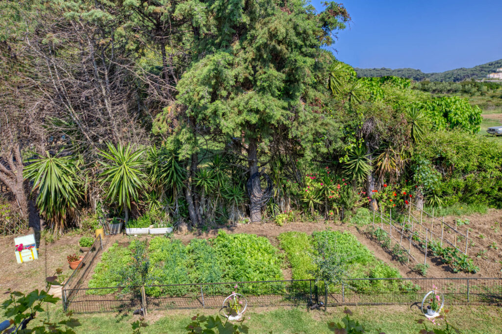 Christina’s Garden 1